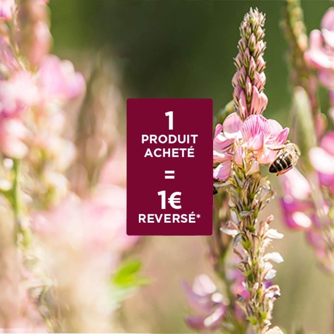 Melvita Officialのインスタグラム：「Cette année pour le Black Friday, on ne propose pas QUE des soins en promos. ⠀ On reverse aussi 1€ par produit acheté à notre Fonds de dotation Melvita pour la sauvegarde des abeilles 🐝 et de la biodiversité. ⠀ Vous validez ? ✌⠀ ⠀ #Melvita #BlackFriday #Nature #Dotation #CosmetiqueBio #Abeille」