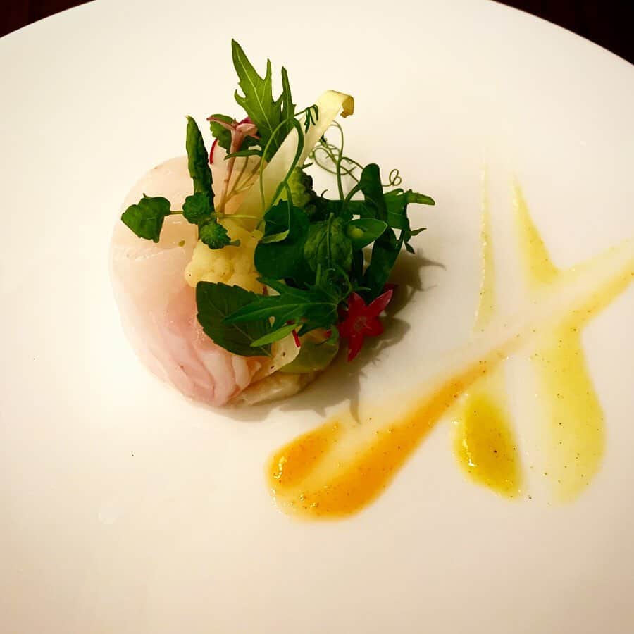 Restaurant SORAさんのインスタグラム写真 - (Restaurant SORAInstagram)「* 瀬戸内旬魚と季節野菜のセルクル仕立て レモンとグリーンペッパーのドレッシング * #stysoramenu #restaurantsora #レストランソラ #岡山 #クレド岡山 #地中海料理 #瀬戸内旬魚#季節野菜#instagood  #岡山ディナー#岡山ランチ」11月27日 18時05分 - restaurantsora