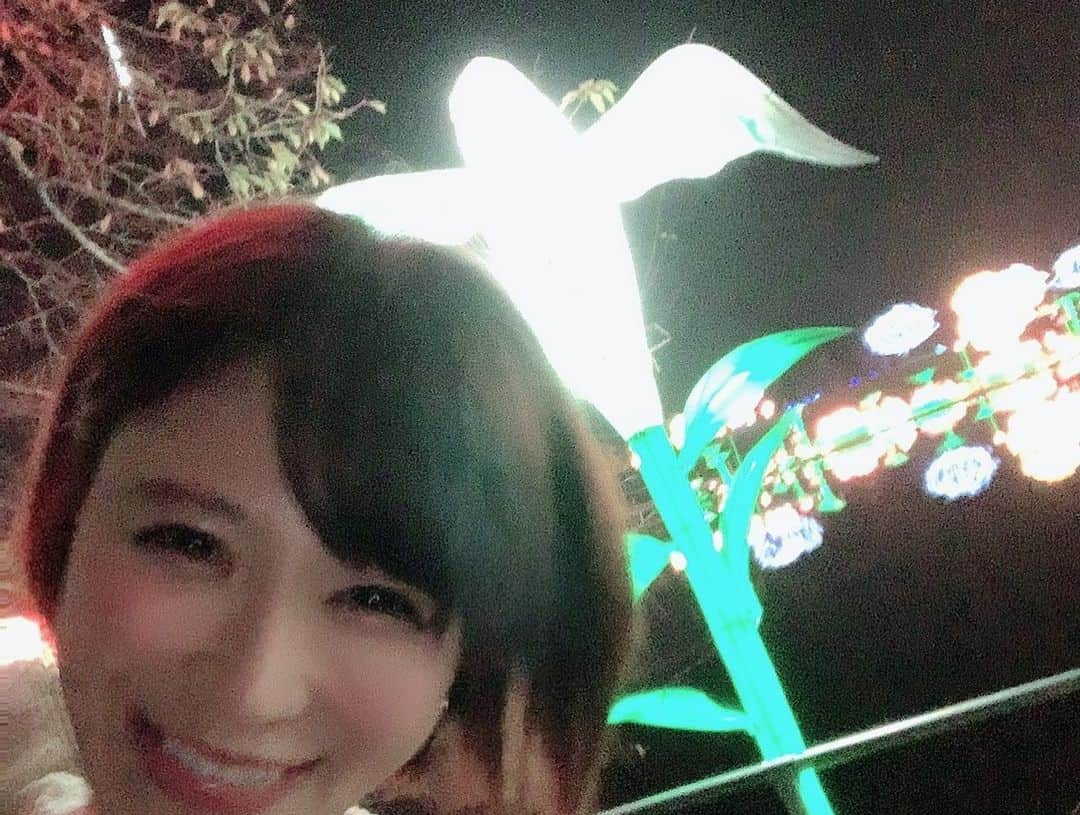 手島優さんのインスタグラム写真 - (手島優Instagram)「#東京ドイツ村　#イルミネーション #写真　#上手く撮れない #写真のセンスなし　#それが手島優」11月27日 18時13分 - tejimayuu0827