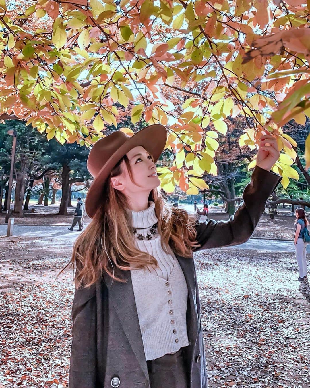 のインスタグラム：「Good morning Good afternoon Good evening 😊🧡 . The leaves illuminated by sunlight are beautiful🌞✨ . . こんばんは😊 もうすぐ12月！ 寒くなってきたな〜🙄 . . #sunshine #instagramjapan #ファインダー越しの私の世界 #ファインダー越しの世界  #lackofcolor #紅葉狩り #ig_japan #photo_japan #photo_jpn  #igersjp #光 #moodygrams #太陽 #写真部 #写真 #代々木公園 #日常 #美しい #紅葉 #インスタグラマー #beautifulmatters #インスタ映え #自然 #公園 #公園遊び #yoyogipark #ハット #落ち葉 #秋 #autumn」