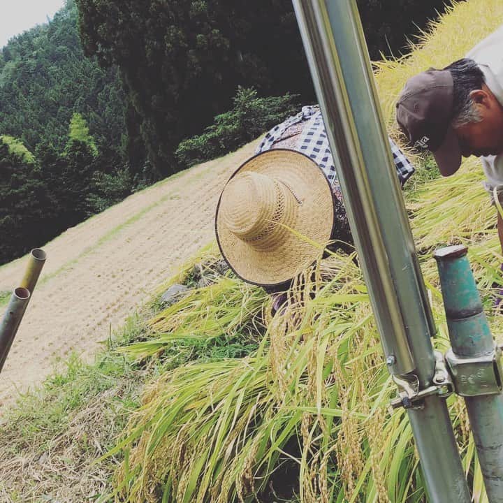 田中菜月のグルメインスタ