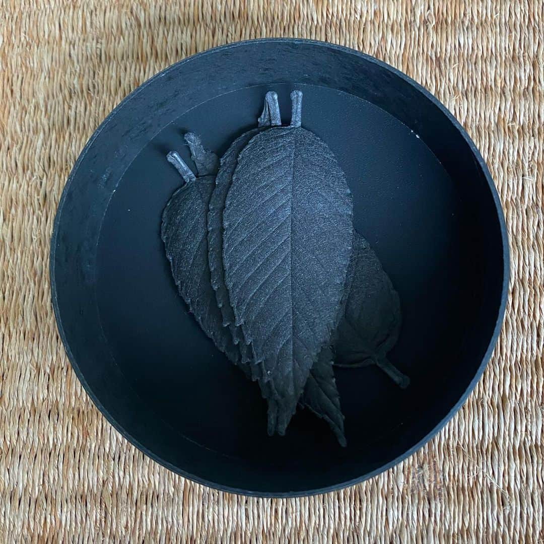 伊藤直樹のインスタグラム：「HAKO  incense made of paper. 葉っぱのお香。 置くだけでもいい。 焚いてもいい。  @hakopaper.jp  BLACK  #zen #meditation  #kuro #bonfire」