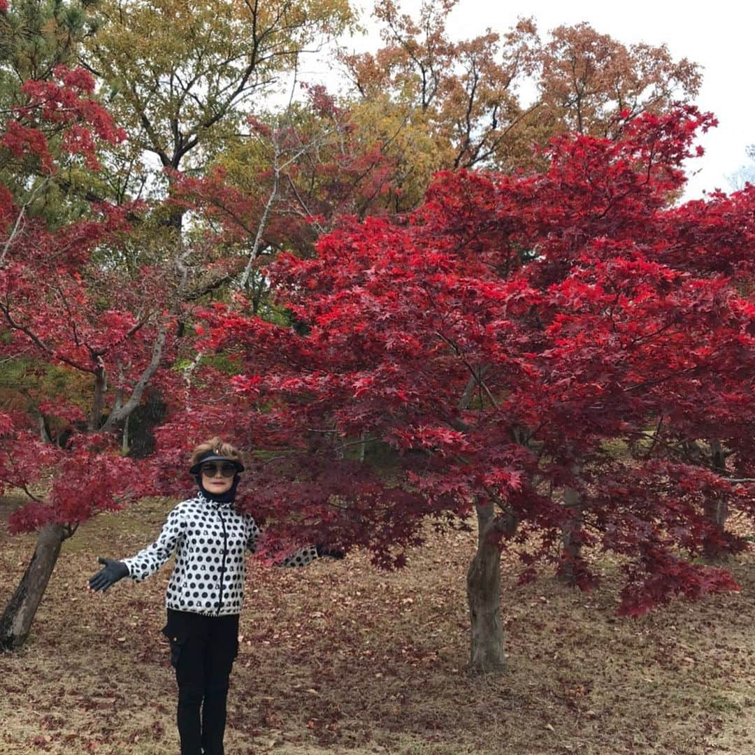 末成由美さんのインスタグラム写真 - (末成由美Instagram)「紅葉の中、涼仙ゴルフクラブ⛳️」11月27日 18時59分 - yumisuenari