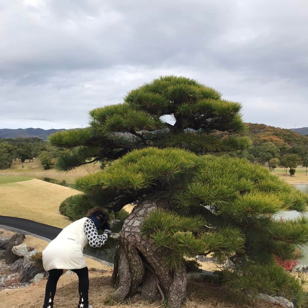 末成由美さんのインスタグラム写真 - (末成由美Instagram)「涼ちゃんゴルフクラブの中にパターの神さん、お尻見たい!」11月27日 19時01分 - yumisuenari