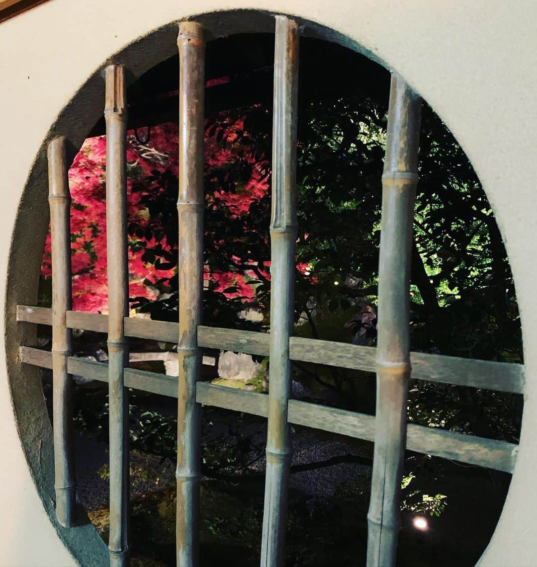 崎山一葉さんのインスタグラム写真 - (崎山一葉Instagram)「色々な紅に魅了されました🍁  #japan #kyoto #京都」11月27日 19時09分 - kazuha_sakiyama
