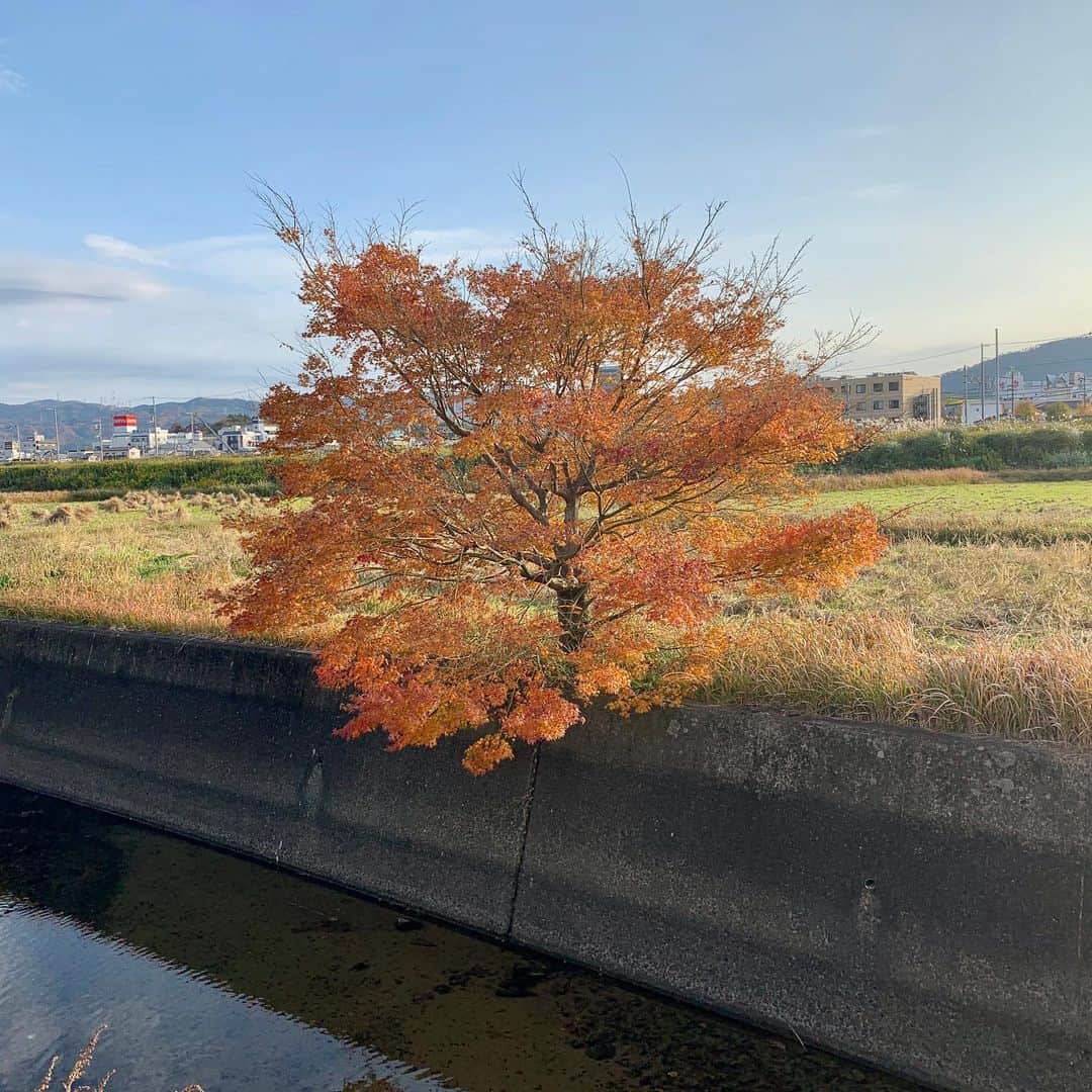 佐久間一行さんのインスタグラム写真 - (佐久間一行Instagram)「祇園花月終わりに、前から行ってみたかった亀岡に行ってきました〜！みるところが川のまわりなんですけどね。  GoProでも少しだけ撮ったので、どこかで〜。GoProの長い棒、便利だな〜。 #佐久間一行 #京都 #亀岡 #亀岡市 #紅葉 #秋」11月27日 19時13分 - sakuzari