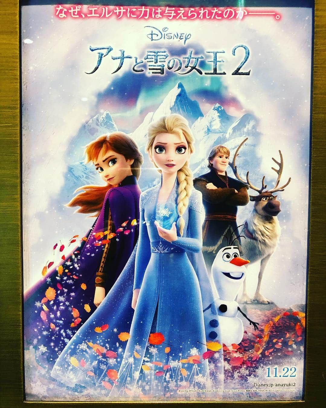 伊藤さとりのグルメインスタ