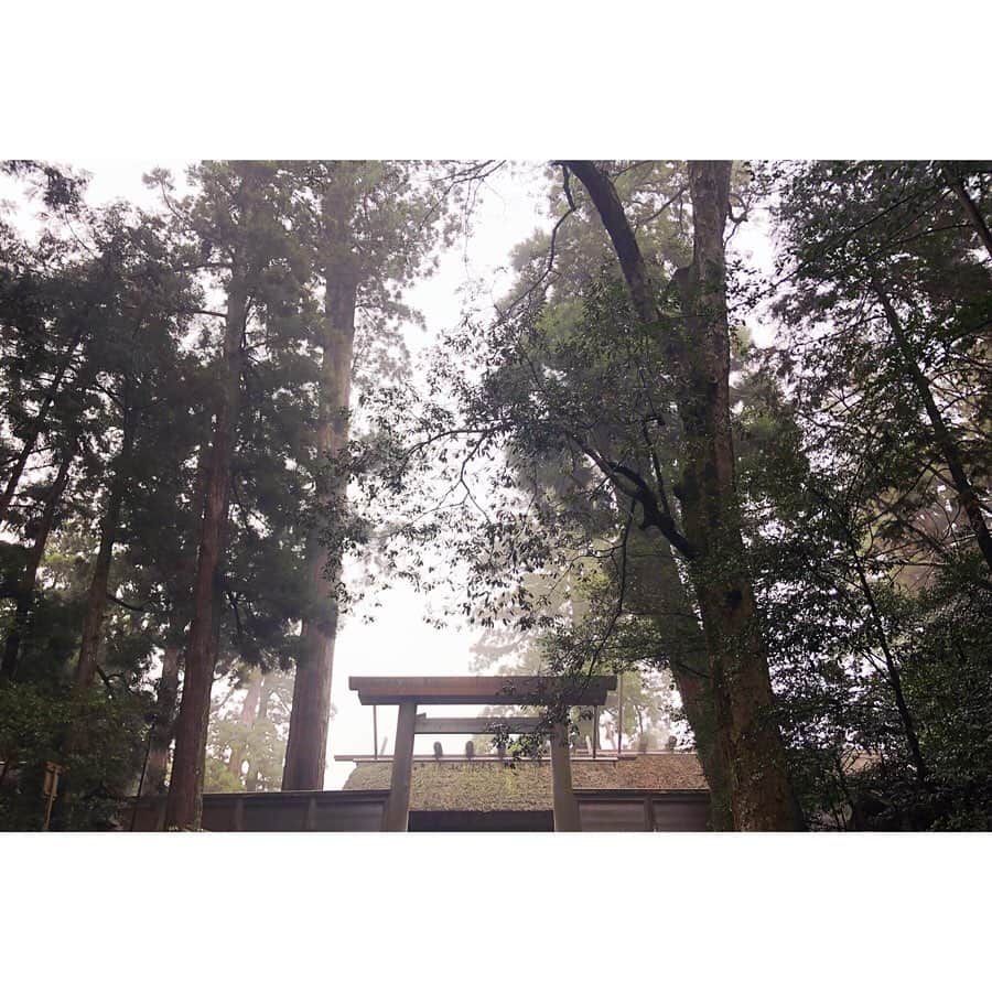 森下紀子さんのインスタグラム写真 - (森下紀子Instagram)「. 大好きな伊勢神宮へ！  木々も色づき始めた 雨上がりの伊勢神宮、  何度訪れても いつもと違う 魅力をみせてくれます♡  今回は初めて松下神社へも。 . #伊勢神宮 #isejingu  #松下社  #五十鈴茶屋」11月27日 19時40分 - noriko_morishita_
