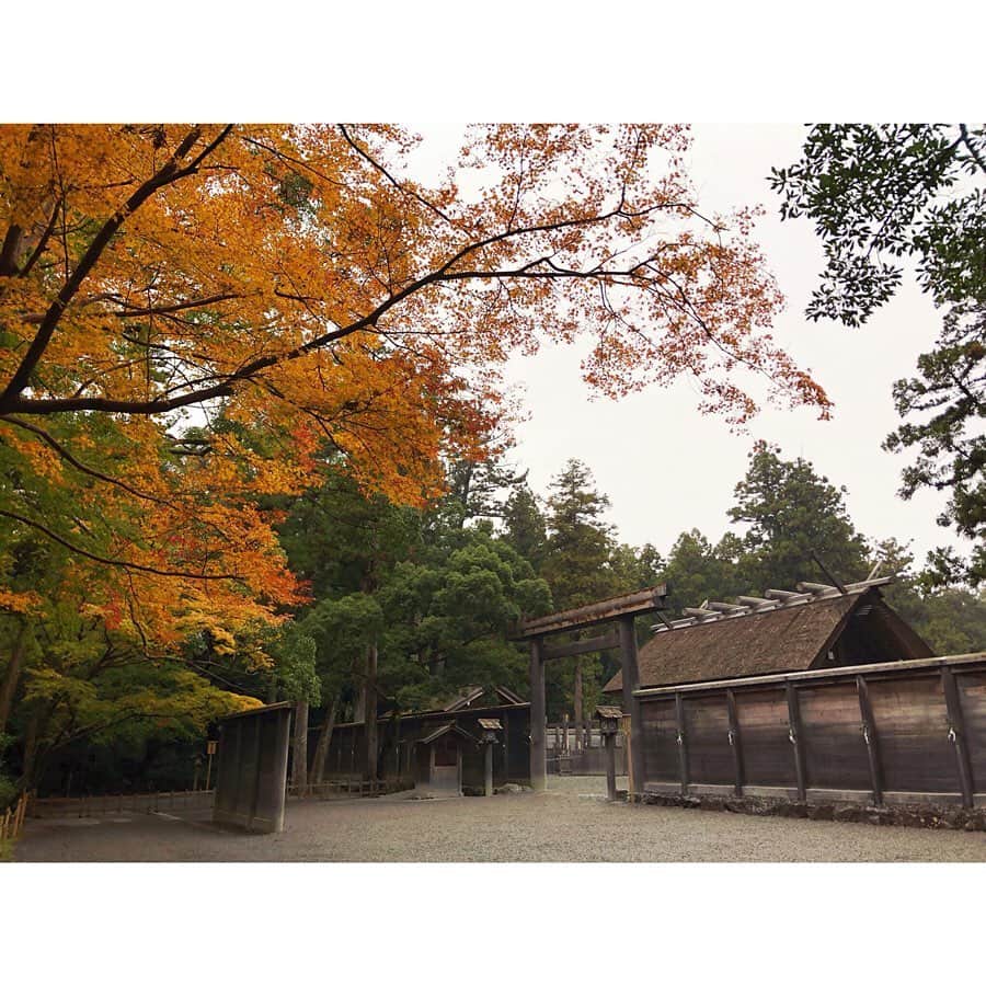 森下紀子さんのインスタグラム写真 - (森下紀子Instagram)「. 大好きな伊勢神宮へ！  木々も色づき始めた 雨上がりの伊勢神宮、  何度訪れても いつもと違う 魅力をみせてくれます♡  今回は初めて松下神社へも。 . #伊勢神宮 #isejingu  #松下社  #五十鈴茶屋」11月27日 19時40分 - noriko_morishita_