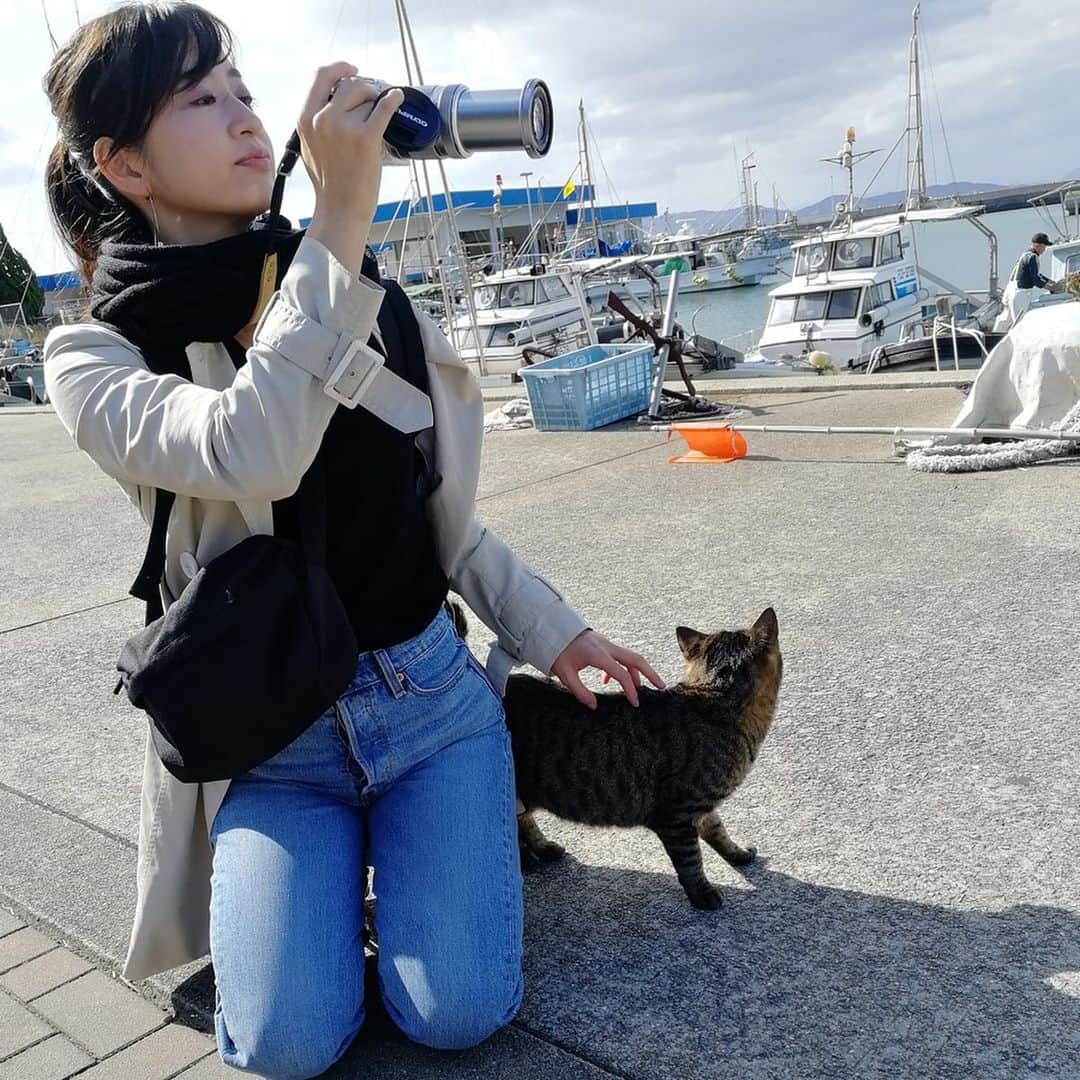 今井安紀さんのインスタグラム写真 - (今井安紀Instagram)「On Aino Island. My friend took pics of me and cats. There were also nice place to see ocean views. 猫の島「藍島」の続き。 友人が写真を撮ってくれてました。 人と絡んでいる絵の方がここの猫達の人懐こさが伝わるかと。たくさんいちゃいちゃできて幸せ。 景色などレンズデータの記載のあるものはわたしのミラーレスで撮影。 詳しいレポートや正方形に綺麗に収められなかった写真などはnoteにもUPします。 ・No.1 「さんしょうがえら」にて。青空と海とわたし、そして足元に猫。 ・No.2 「さんしょうがえら」からの景色。向こうに見えるのは多分本州。海が青い。(14mm F3.5 ワイドコンバーター付けてたかも) ・No.3 遠くにいる子を狙っていたら、撫でろと自らやってくる。パラダイスかにゃ？ ・No.4 猫に囲まれながらレンズ交換。 ・No.5 3匹に囲まれてモテモテ気分。みんなすごく良い子だった。 ・No.6 わいわいビーチにて景色を撮るわたし。ここでもやはり海も空も青い。最高。 ・No.7 わいわいビーチからの景色。向こうに見えるの、北九州工業地域かなと思ったら方角的にはこれまた本州らしい。(25mm F2.5) ・No.8 藍島は漁業の島。ということで漁船がたくさん。(25mm F2.5) ・No.9 ハイビスカス、思わず寄って撮りたくなった。(42mm F5.6 マクロコンバーター使用) ・No.10 千畳敷にて。向こうに見えるのは貝島。6世紀頃に作られた古墳群があるそう。(14mm F3.5 確かワイドコンバーター使用)  #olympus #olympuspen #olympuspenepl9 #epl9  #nofilter #photolovers #noedit #cat #catstagram #catstagram #catisland #catlover #オリンパス #オリンパスPEN #加工なし #ミラーレス一眼 #写真撮ってる人と繋がりたい #猫島 #ねこすたぐらむ #猫 #ねこ #藍島 #藍島の猫 #小倉 #海と猫 #海 #千畳敷 #ハイビスカス」11月27日 20時30分 - i_am_akinyan0826