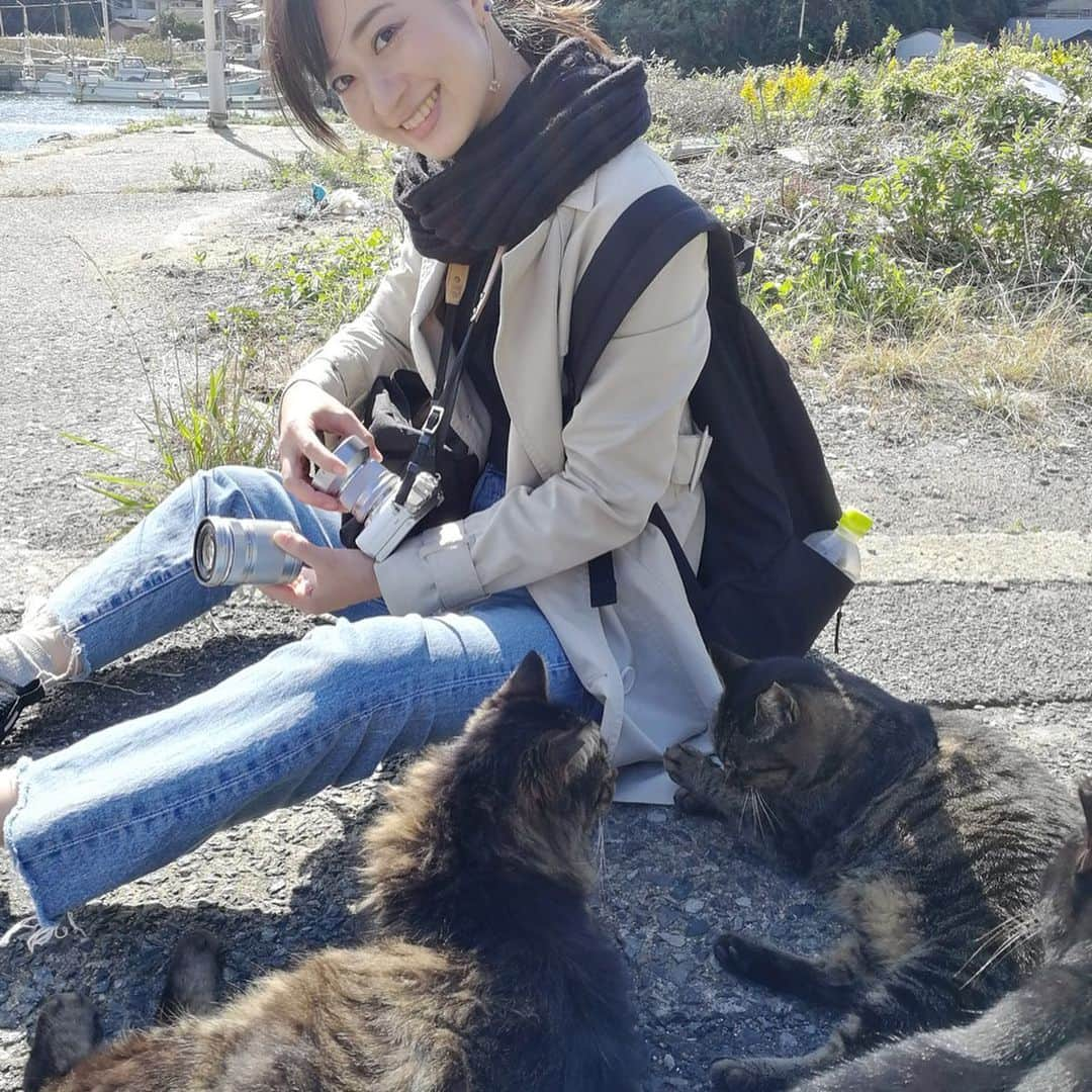 今井安紀さんのインスタグラム写真 - (今井安紀Instagram)「On Aino Island. My friend took pics of me and cats. There were also nice place to see ocean views. 猫の島「藍島」の続き。 友人が写真を撮ってくれてました。 人と絡んでいる絵の方がここの猫達の人懐こさが伝わるかと。たくさんいちゃいちゃできて幸せ。 景色などレンズデータの記載のあるものはわたしのミラーレスで撮影。 詳しいレポートや正方形に綺麗に収められなかった写真などはnoteにもUPします。 ・No.1 「さんしょうがえら」にて。青空と海とわたし、そして足元に猫。 ・No.2 「さんしょうがえら」からの景色。向こうに見えるのは多分本州。海が青い。(14mm F3.5 ワイドコンバーター付けてたかも) ・No.3 遠くにいる子を狙っていたら、撫でろと自らやってくる。パラダイスかにゃ？ ・No.4 猫に囲まれながらレンズ交換。 ・No.5 3匹に囲まれてモテモテ気分。みんなすごく良い子だった。 ・No.6 わいわいビーチにて景色を撮るわたし。ここでもやはり海も空も青い。最高。 ・No.7 わいわいビーチからの景色。向こうに見えるの、北九州工業地域かなと思ったら方角的にはこれまた本州らしい。(25mm F2.5) ・No.8 藍島は漁業の島。ということで漁船がたくさん。(25mm F2.5) ・No.9 ハイビスカス、思わず寄って撮りたくなった。(42mm F5.6 マクロコンバーター使用) ・No.10 千畳敷にて。向こうに見えるのは貝島。6世紀頃に作られた古墳群があるそう。(14mm F3.5 確かワイドコンバーター使用)  #olympus #olympuspen #olympuspenepl9 #epl9  #nofilter #photolovers #noedit #cat #catstagram #catstagram #catisland #catlover #オリンパス #オリンパスPEN #加工なし #ミラーレス一眼 #写真撮ってる人と繋がりたい #猫島 #ねこすたぐらむ #猫 #ねこ #藍島 #藍島の猫 #小倉 #海と猫 #海 #千畳敷 #ハイビスカス」11月27日 20時30分 - i_am_akinyan0826