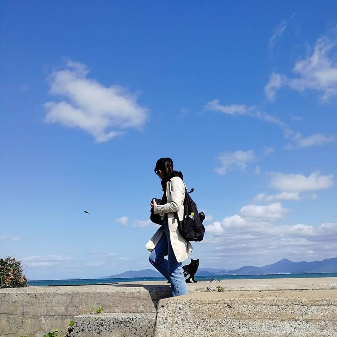 今井安紀のインスタグラム：「On Aino Island. My friend took pics of me and cats. There were also nice place to see ocean views. 猫の島「藍島」の続き。 友人が写真を撮ってくれてました。 人と絡んでいる絵の方がここの猫達の人懐こさが伝わるかと。たくさんいちゃいちゃできて幸せ。 景色などレンズデータの記載のあるものはわたしのミラーレスで撮影。 詳しいレポートや正方形に綺麗に収められなかった写真などはnoteにもUPします。 ・No.1 「さんしょうがえら」にて。青空と海とわたし、そして足元に猫。 ・No.2 「さんしょうがえら」からの景色。向こうに見えるのは多分本州。海が青い。(14mm F3.5 ワイドコンバーター付けてたかも) ・No.3 遠くにいる子を狙っていたら、撫でろと自らやってくる。パラダイスかにゃ？ ・No.4 猫に囲まれながらレンズ交換。 ・No.5 3匹に囲まれてモテモテ気分。みんなすごく良い子だった。 ・No.6 わいわいビーチにて景色を撮るわたし。ここでもやはり海も空も青い。最高。 ・No.7 わいわいビーチからの景色。向こうに見えるの、北九州工業地域かなと思ったら方角的にはこれまた本州らしい。(25mm F2.5) ・No.8 藍島は漁業の島。ということで漁船がたくさん。(25mm F2.5) ・No.9 ハイビスカス、思わず寄って撮りたくなった。(42mm F5.6 マクロコンバーター使用) ・No.10 千畳敷にて。向こうに見えるのは貝島。6世紀頃に作られた古墳群があるそう。(14mm F3.5 確かワイドコンバーター使用)  #olympus #olympuspen #olympuspenepl9 #epl9  #nofilter #photolovers #noedit #cat #catstagram #catstagram #catisland #catlover #オリンパス #オリンパスPEN #加工なし #ミラーレス一眼 #写真撮ってる人と繋がりたい #猫島 #ねこすたぐらむ #猫 #ねこ #藍島 #藍島の猫 #小倉 #海と猫 #海 #千畳敷 #ハイビスカス」