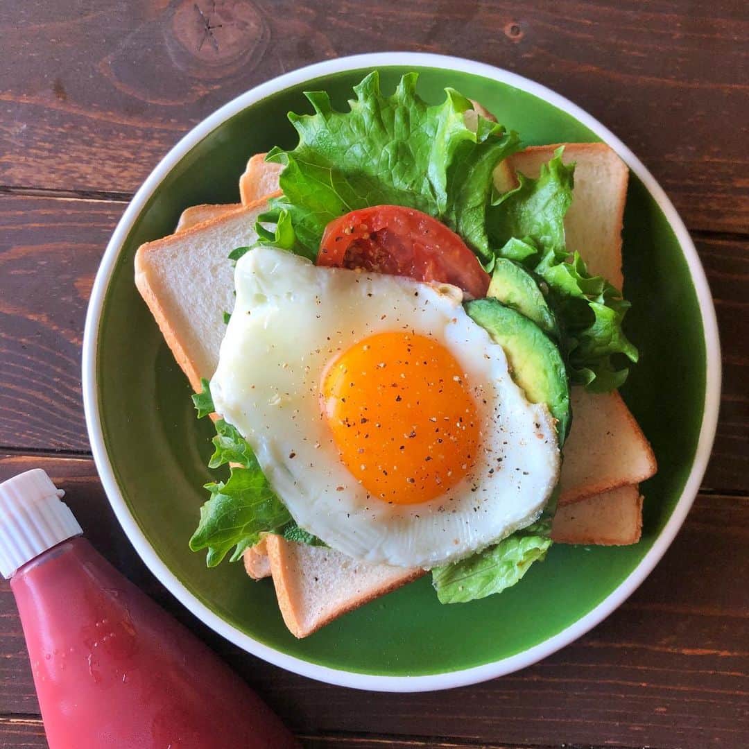 小鳥遊しほさんのインスタグラム写真 - (小鳥遊しほInstagram)「オープンホットサンドパーティー🍳ソーセージとか野菜とか好きなものを焼いてパンに乗せてケチャップどはどばかけて食べる。シンプル&ジャンク🧑‍🍳子供とかいたら喜びそうなパーティー😂🎉 . レコルトさんのホームBBQ(この赤い蓋付きのホットプレート！)を使うとホムパが一気におしゃれになるからすばらしい🍷 . そんなレコルトさん( @recolte_official )が10周年プレゼントキャンペーンを開催中なので調理家電に興味があるひとは要チェック‼️💁‍♂️ ------------------------------ ◼️応募期間 11月11日（月）〜12月8日（日） . ◼️応募方法 ①@recolte_officialをフォロー ②該当投稿に「いいね！」 ③「色みくじ」サイトへ飛ぶ。 （@recolte_officialのプロフィールリンクから飛べます！） ④色みくじをひく。 ⑤ラッキー家電の「応募」へ。 ⑥応募要項に記入して完了！ . ◼️当選発表 当選された方には、インスタグラムの ダイレクトメッセージから連絡が届きます！ ------------------------------ .  #recolte  #レコルト  #プレゼント  #キャンペーン  #ラッキーアイテム  #PR」11月27日 20時46分 - shihotakanashi