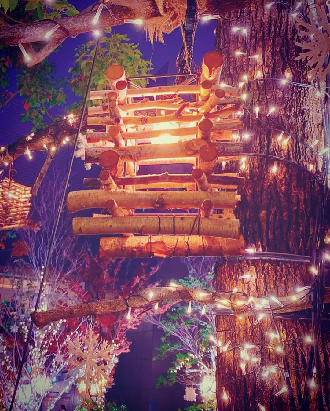 奈良未遥さんのインスタグラム写真 - (奈良未遥Instagram)「🎄 クリスマス近づいてきたねぇ¨̮」11月27日 20時46分 - mihapiyo._.48