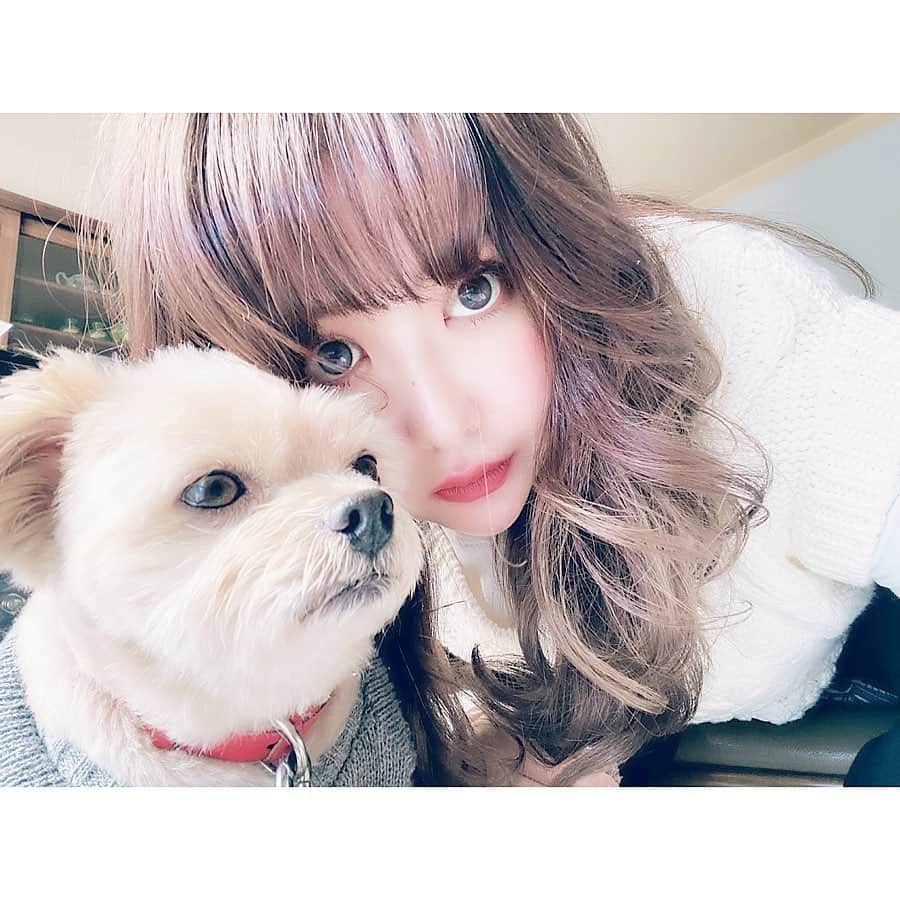 津久江麻由のインスタグラム：「低浮上すぎてます。🥺 すみません🥺ぴえん。 . 毎日愛犬にべっとりくっついて 生活しています😎🖤 . 写真を撮ったら私だけ盛れたり、 証明写真みたいになったりしたので 最後に渾身の一枚を載せてるので 見てください🐷❤️ . .  #犬のいる暮らし #わんこのいる生活 #いぬばか部 #mix犬 #お気に入りコスメ #コスメ大好き #メイク好き #デパコス #コスメ紹介 #今日のメイク  #今日のコスメ #プチプラコスメ #メイク好きさんと繋がりたい #コスメ好きさんと繋がりたい  #メイク動画 #いいね返しは絶対 #おすすめコスメ #コスメ購入品 #コスメ好き #メイク好き #今日のコーデ #今日のコーディネート #本日のコーデ  #ラフコーデ #todayscode #韓国好きな人と繋がりたい #防弾少年団好きな人と繋がりたい」