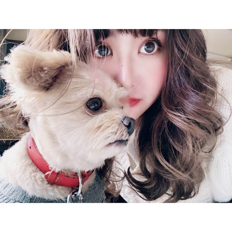 津久江麻由さんのインスタグラム写真 - (津久江麻由Instagram)「低浮上すぎてます。🥺 すみません🥺ぴえん。 . 毎日愛犬にべっとりくっついて 生活しています😎🖤 . 写真を撮ったら私だけ盛れたり、 証明写真みたいになったりしたので 最後に渾身の一枚を載せてるので 見てください🐷❤️ . .  #犬のいる暮らし #わんこのいる生活 #いぬばか部 #mix犬 #お気に入りコスメ #コスメ大好き #メイク好き #デパコス #コスメ紹介 #今日のメイク  #今日のコスメ #プチプラコスメ #メイク好きさんと繋がりたい #コスメ好きさんと繋がりたい  #メイク動画 #いいね返しは絶対 #おすすめコスメ #コスメ購入品 #コスメ好き #メイク好き #今日のコーデ #今日のコーディネート #本日のコーデ  #ラフコーデ #todayscode #韓国好きな人と繋がりたい #防弾少年団好きな人と繋がりたい」11月27日 20時55分 - mayu_tsukue