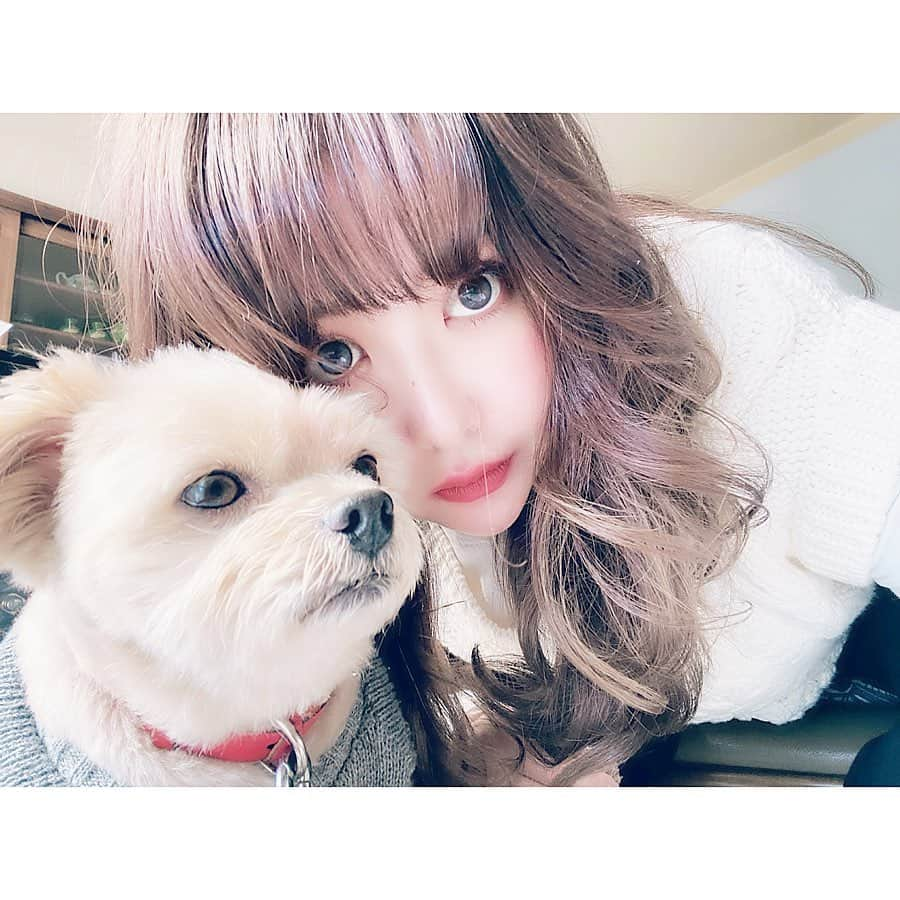 津久江麻由さんのインスタグラム写真 - (津久江麻由Instagram)「低浮上すぎてます。🥺 すみません🥺ぴえん。 . 毎日愛犬にべっとりくっついて 生活しています😎🖤 . 写真を撮ったら私だけ盛れたり、 証明写真みたいになったりしたので 最後に渾身の一枚を載せてるので 見てください🐷❤️ . .  #犬のいる暮らし #わんこのいる生活 #いぬばか部 #mix犬 #お気に入りコスメ #コスメ大好き #メイク好き #デパコス #コスメ紹介 #今日のメイク  #今日のコスメ #プチプラコスメ #メイク好きさんと繋がりたい #コスメ好きさんと繋がりたい  #メイク動画 #いいね返しは絶対 #おすすめコスメ #コスメ購入品 #コスメ好き #メイク好き #今日のコーデ #今日のコーディネート #本日のコーデ  #ラフコーデ #todayscode #韓国好きな人と繋がりたい #防弾少年団好きな人と繋がりたい」11月27日 20時55分 - mayu_tsukue