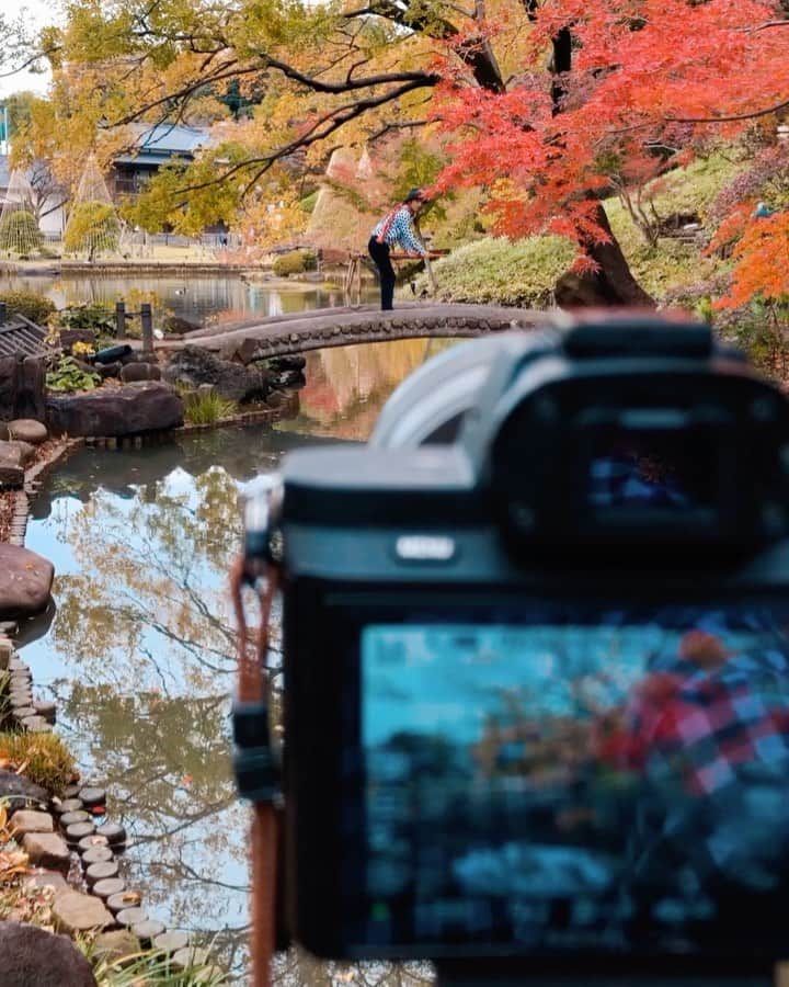 halnoのグルメインスタ