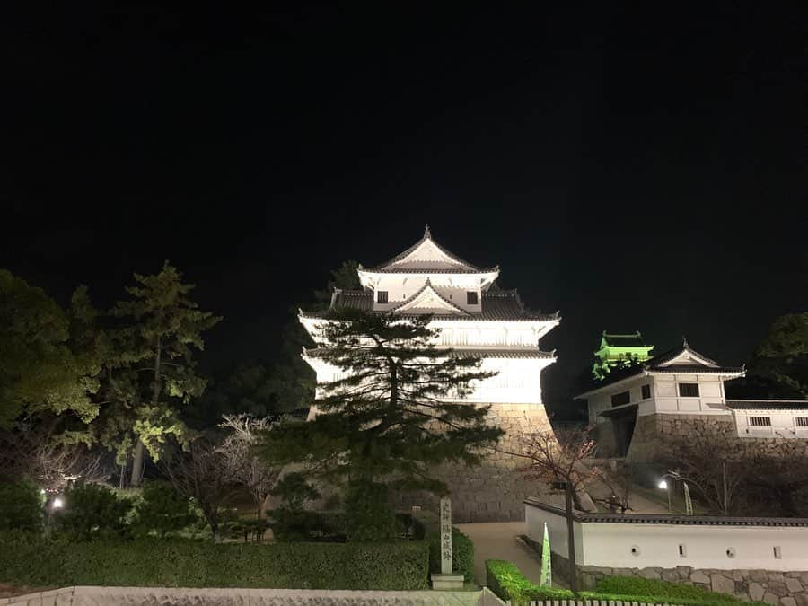 菜乃花さんのインスタグラム写真 - (菜乃花Instagram)「地元の福山に帰ってました🏯﻿ ﻿ ﻿ 家族みんなでご飯を食べたり、﻿ 祖父や祖母に会いに行ったり、﻿ 姪っ子と遊んだり、﻿ まったりとゆったりと過ごしました☺️﻿ ﻿ ﻿ 福山城は新幹線を降りてすぐにいつも迎えてくれるので﻿ ただいまという気持ちになります！！﻿ ﻿ ﻿ 姪っ子におばさん言われんようにお化粧して、﻿ なんだかんだでいつものルナに行って、﻿ おばあちゃんちのサザンカが可愛かった写真たちです❁」11月27日 21時11分 - nanoka0707