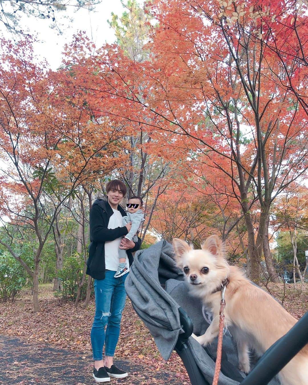 五十嵐圭さんのインスタグラム写真 - (五十嵐圭Instagram)「公園。 #鳥屋野潟公園 #紅葉 #息子もナナも沢山歩きました」11月27日 21時19分 - keiigarashi_official