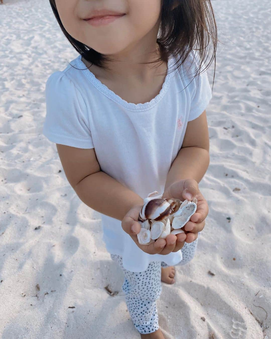 山中美智子さんのインスタグラム写真 - (山中美智子Instagram)「毎日 Beachで シェルを見つけては コレかわいねー♡ と言って見せてくれる🚿  もう、共通の趣味になりました🏝  ちなみに、今日は父の誕生日🐚 お誕生日おめでとう🎂  プレゼントのリクエストは、美智子が選ぶニットだそうです！普段選ばないような物を買ってくるからだって😆  帰ったら渡しにいきます👌🏾👌🏾」11月27日 21時17分 - alexiastam1988