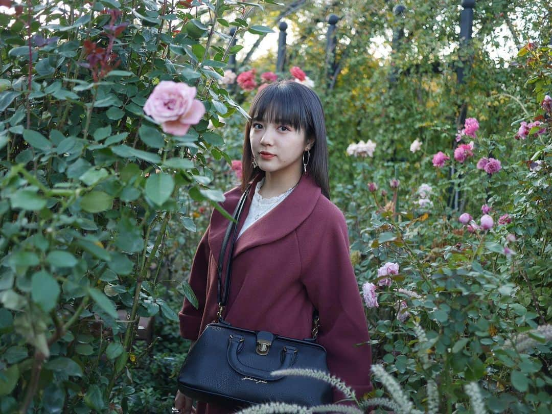 中山莉子さんのインスタグラム写真 - (中山莉子Instagram)「→﻿ #横浜イングリッシュガーデン　🌹﻿ ﻿ 最近すごい寒くなってきたから風邪には気をつけてくださいねー😷わたしが言えないけどー笑﻿ ﻿ #薔薇#横浜﻿ ﻿ ﻿ 本日はPop'nアイドルVol.04ありがとうございました！！！」11月27日 21時36分 - nakayama_riko_official