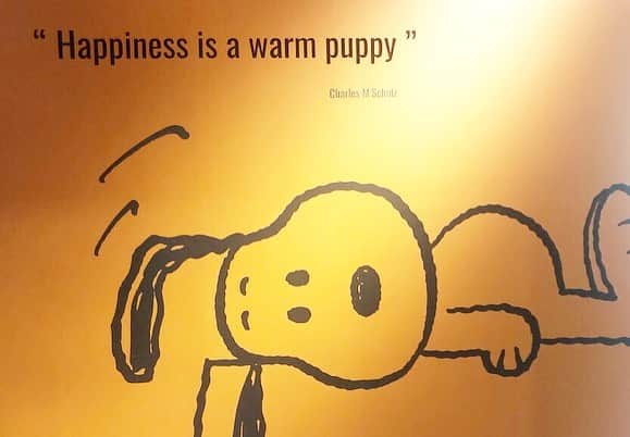 石坂友里さんのインスタグラム写真 - (石坂友里Instagram)「happiness is a warm puppy .......🥺💞 snoopylover....🥺💞 #スヌーピー#lottemuseum#snoopy#snoopylover#스누피」11月27日 22時14分 - yuri.d