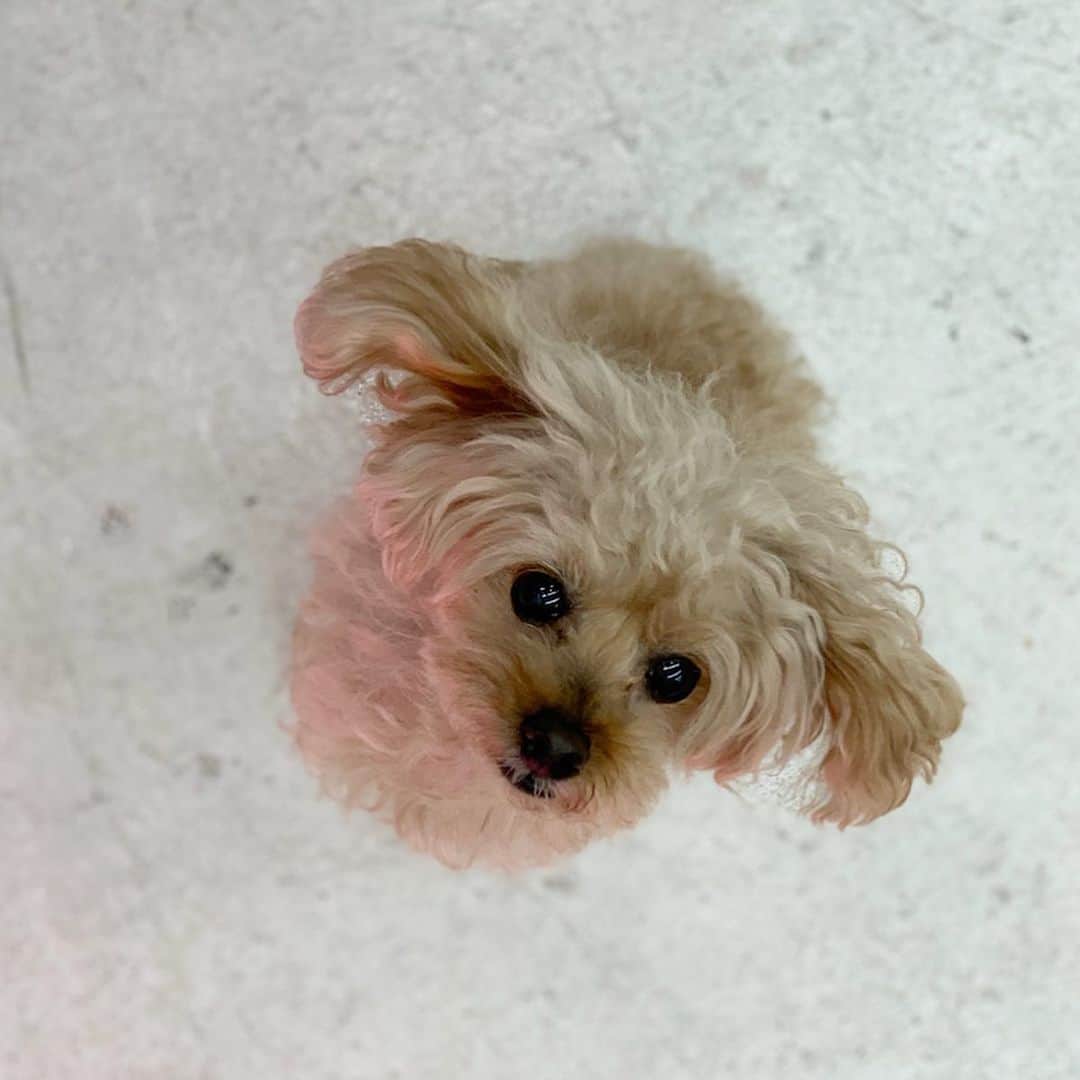 沢瀉美緒のグルメインスタ