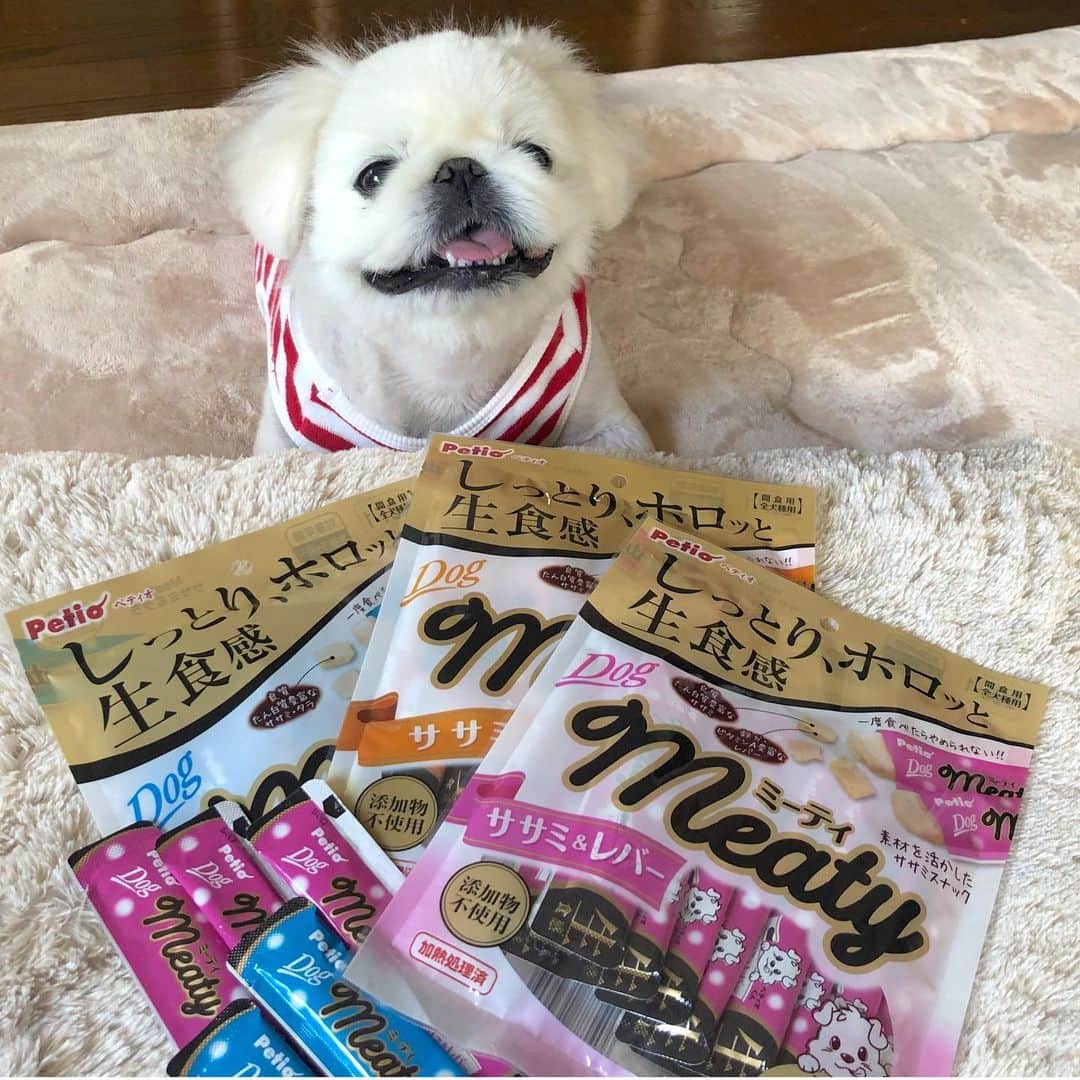こなつのインスタグラム：「@petio_ さんから新発売の🐶Meaty🐱 『Meaty（ミーティ）』は、しっとりホロッとまるで生のようなやわらかい食感が特長で、新鮮なお肉やお魚を贅沢に使った新感覚のおやつです🤤✨ 完全無添加なので安心💓 液状タイプとは違うので汚れる心配もなし💙 個包装なのでお出かけ先のおやつでも💓  味も🐶🐱それぞれ3種類ずつあるので選べるのも嬉しいワンッ🐾  #PR #meaty #ミーティ #petio #ペティオ」