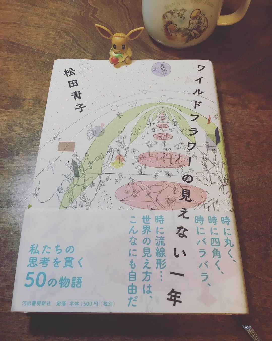 小橋めぐみのインスタグラム：「松田青子著「ワイルドフラワーの見えない一年」読了。 50の短編集。 サクサク読めるけど、ズキュン、と撃ち抜かれたり。 当たり前のように受け止めていた物語に、ちょっと待ったをかけるような。 思考のあちこちが刺激された。 #松田青子 #ワイルドフラワーの見えない一年」