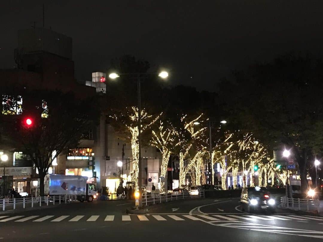 のインスタグラム：「. 今年もこの時期になりましたね🎄🎅🏻🎄 X’mas season has come... #loopwheeler #ループウィラー #shibuya #渋谷 #harajuku #原宿 #表参道 #omotesando」