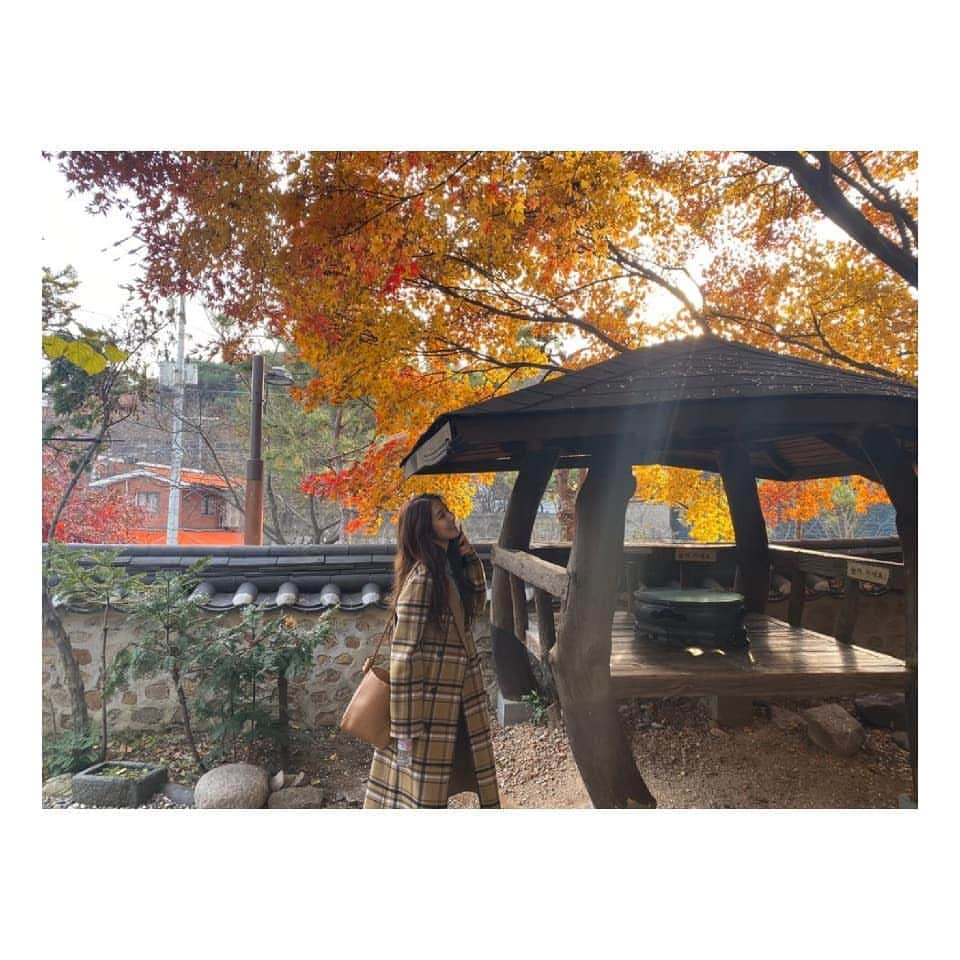 ジヒョン さんのインスタグラム写真 - (ジヒョン Instagram)「🍂🍂🍁🍁. . . #가을한옥  #koreastyle」11月27日 23時07分 - jihyunilovee