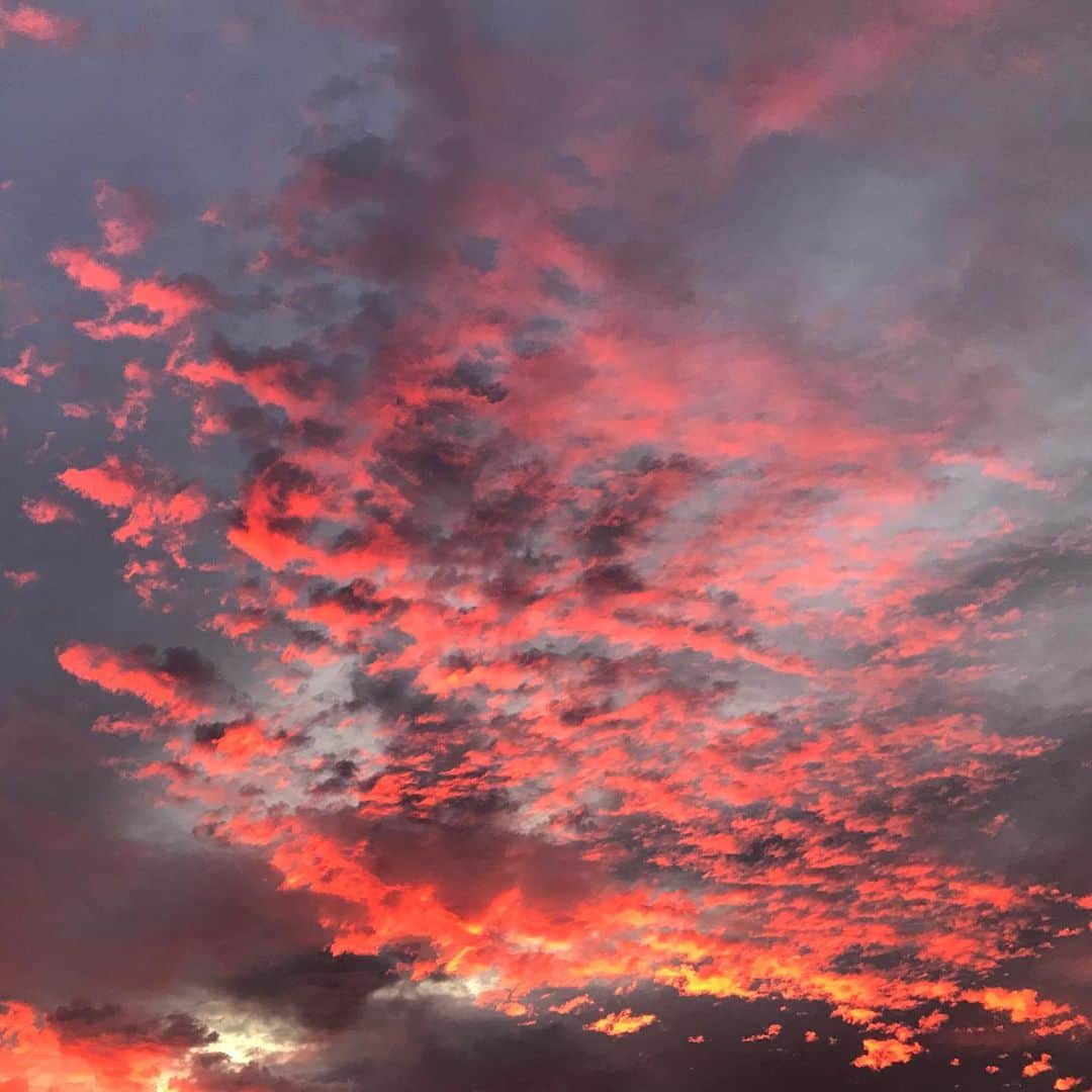 藤代冥砂さんのインスタグラム写真 - (藤代冥砂Instagram)「美しい夕焼け。 気づいてよかった。  #夕焼け　#沖縄の夕焼け」11月27日 23時18分 - meisafujishiro