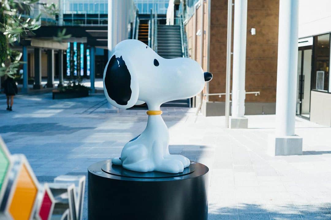 SNOOPY MUSEUM TOKYOのインスタグラム：「#snoopymuseumtokyo #schulzmuseum #snoopy #スヌーピーミュージアム #スヌーピー #12月14日オープン」