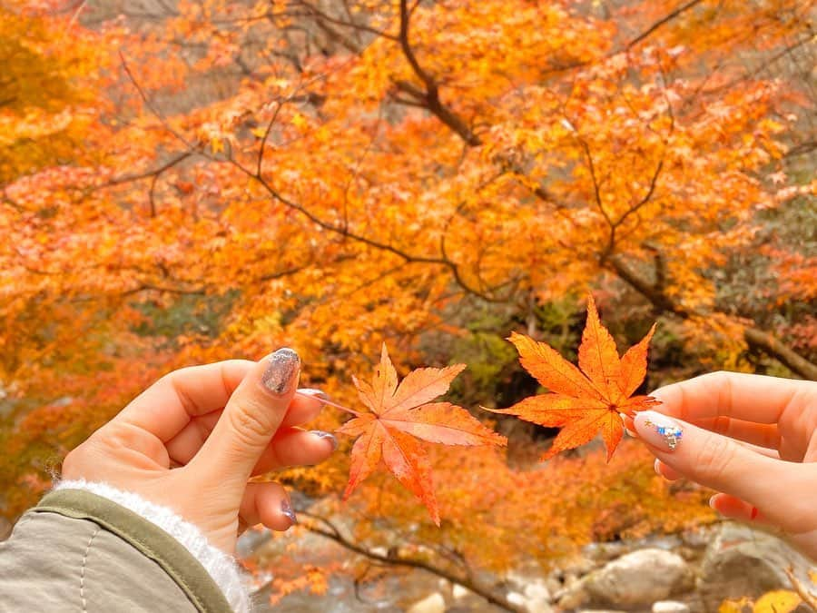 西村笑花さんのインスタグラム写真 - (西村笑花Instagram)「🍁 ・ ・ 初めて茨城へ行ってきました🚌✨ 今回ツアーさせて頂いた中で私のお気に入りの場所、 天馬夢さん❤︎ 絶景の中でのヨガ癒されたなぁ😌🧡 ・ 他にも乗馬、エステ、温泉、スパなどもあって お食事もヘルシーで健康なものや ファスティングなどもできるそうで 心や身体にとても素敵な宿泊地でした✨ またゆっくり行きたいなぁ‥🥺❤︎ 本当に癒しの場所でした🐴✨ ・ 茨城の美味しいものをたくさん食べて 美しい自然がたくさんあって 空気が澄んでいて 身体の中から綺麗になれた気がする‥😌💫 星空観察をしたり、そば打ち体験をしたりなど 都内ではなかなかできないような 体験をさせていただきました✨ ストーリーズにもupしているのでチェックしてね🧘‍♀️⭐️🍂 #japan #ibaraki #yoga #yogalife #茨城 #茨城観光 #茨城県 #茨城旅行 #ヨガ #天空の庭 #天馬夢 #紅葉 #🍁 #ヘルスツーリズム」11月28日 9時05分 - emika_nishimura