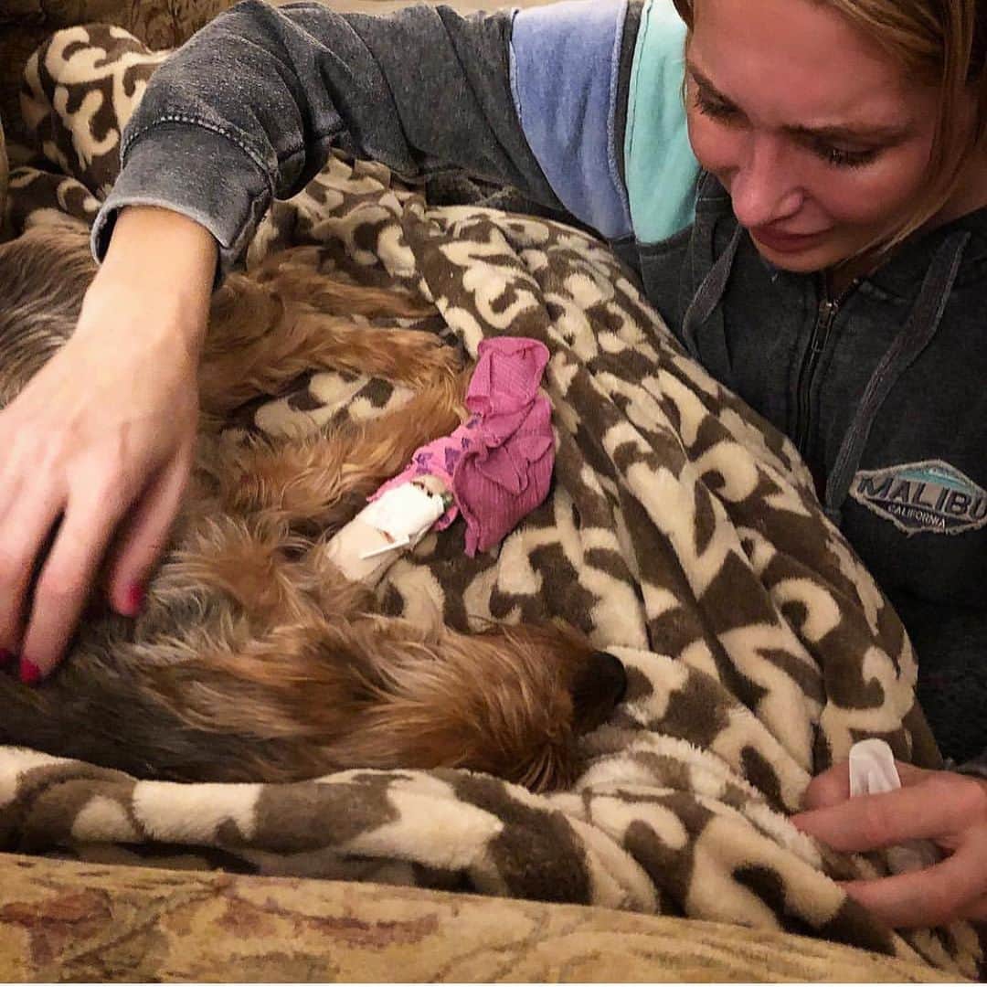 ステファニー・プラットのインスタグラム：「The world is a sadder place without you. My final moments with my little girl, Keke. She fought so hard with her Little pacemaker. 11-27-18 absolutely shattered」