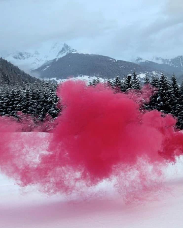 オーレリービダマンのインスタグラム：「Pink and Pines #filippominelli #inspiration」