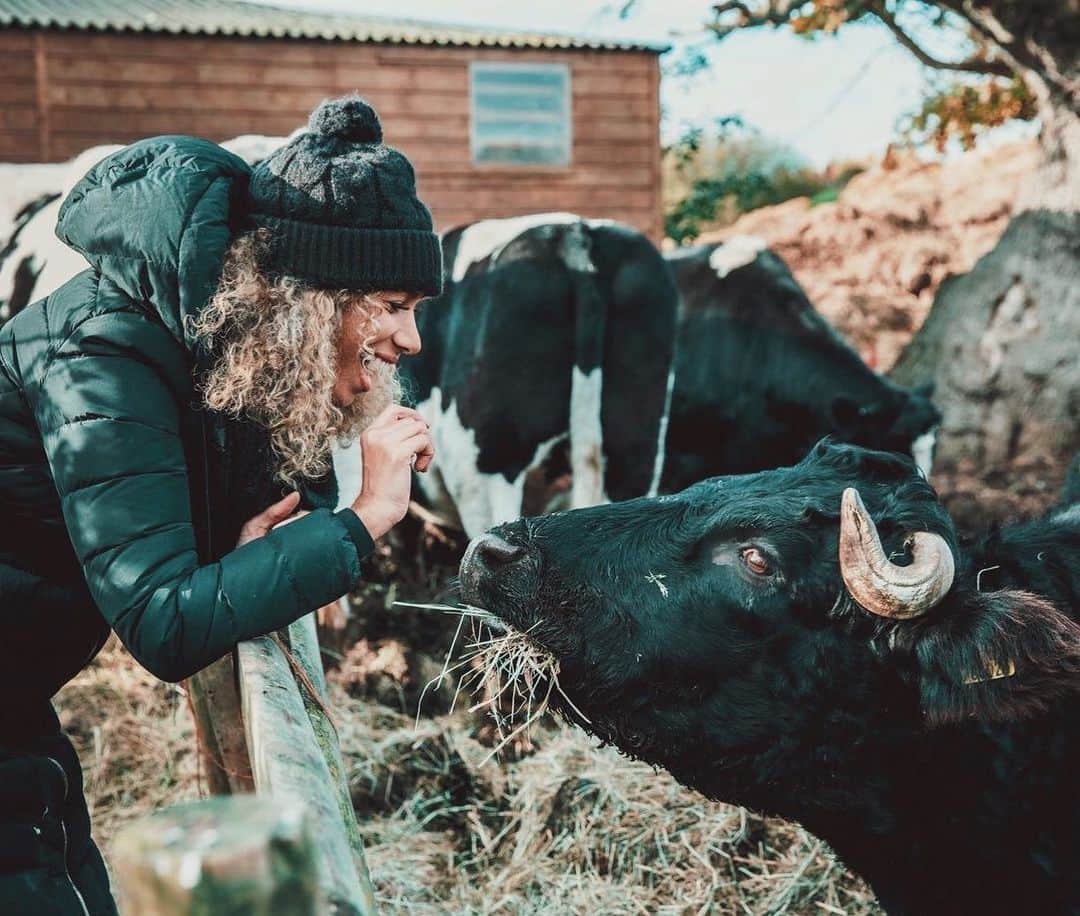 レオナ・ルイスのインスタグラム：「This is Rosary💜🐮 she loves long walks, back scratches and bread, just like me 😏 I’m so happy to announce the partnership between @hopefieldanimalsanctuary and @hisukorg because we have joined forces to promote animal welfare and plant based eating so that my friend Chip and others like him are treated with kindness. We are going to be working closely together to raise awareness of the impact that dietary choices can have on animal suffering and the environment.  Make sure you keep following our rescue animals and their stories at our Instagram @hopefieldanimalsanctuary 💜 @HSIglobal #animals #rescue #plantbased」