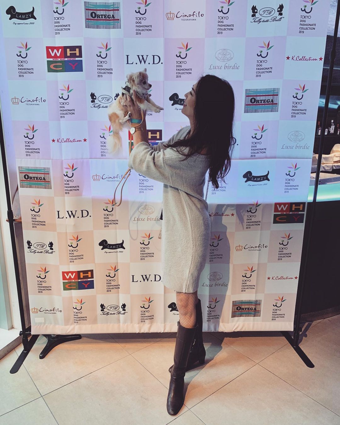 浅井香葉子さんのインスタグラム写真 - (浅井香葉子Instagram)「『TOKYO﻿ DOG FASHIONATE﻿ COLLECTION 2019』﻿ ﻿ 愛犬のチョコと行ってきました✨﻿ ﻿ 人と犬との﻿ お洒落ファッションショー💕﻿ ﻿ 10年前に開催された﻿ 『DOG FASHION COLLECTION』を﻿ 思い出します😊🐶﻿ (当時はモデルをさせて頂きました)﻿ ﻿ 飼い主さんと愛犬との﻿ ファッションコーデを楽しみながら﻿ ﻿ 美しくお散歩(美散歩)する姿を﻿ 想像しながら﻿ 会場を後にしました♡﻿ ﻿ それにしてもシュナは﻿ ファッショナブルで﻿ カッコ良かった(≧∀≦)」11月28日 1時56分 - asaikayoko