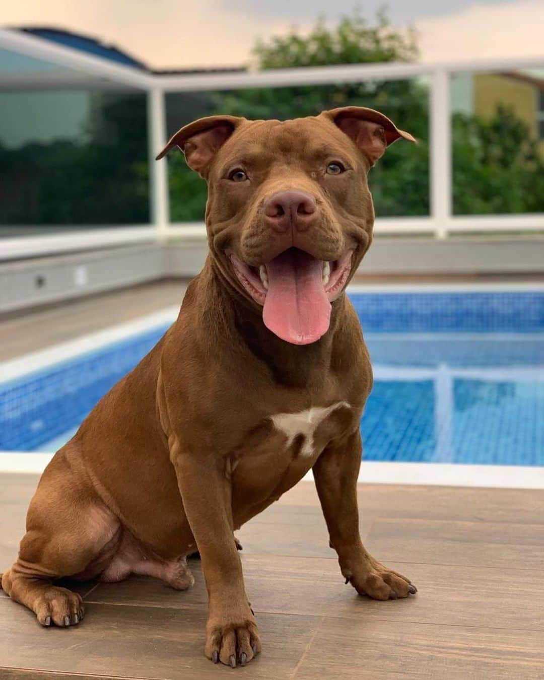 Chay Suedeのインスタグラム：「Meu quinquinho fez um ano 🧡 #Moreno」
