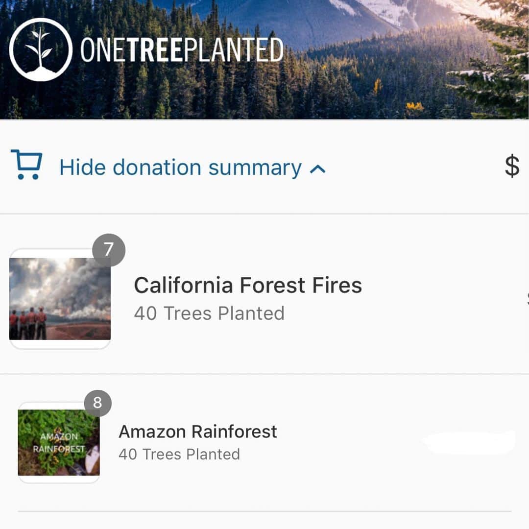 ベラ・ハディッドさんのインスタグラム写真 - (ベラ・ハディッドInstagram)「Donating 600 trees to be planted , 20 for each flight I took these past 3 months and probably will continue for the rest of the year.It makes me sad how much my job effects my carbon footprint and of how brutally climate change is obviously effecting the world. Mother Nature needs some love...🌳🌼🌜 I’ll be starting with my home in California ( 129 million trees need to be restored re: wildfires, 1.3 million acres burned) and of course the Amazon for the most recent wildfires, but please reach out and let me know which locations need to be shown some love as well , all regions welcome🙏🏽 Africa, Asia, North America, and Latin America💛 this is so exciting and interesting to me, that even though I’m not physically there, trees are being brought to life in the most incredible places that are in demand of them! it’s the air we breathe, the water we drink, the biodiversity and animal life we need..🐛🐜🦗 I know it’s not much , but when I fly, I look out the window and see so many beautiful, extensive forests, so much land and trees but also so much that needs lots of help.. think about the animals too💛 anyways . once I get home I’m definitely planting my own tree outside. so inspired by my friends 💛🌿🌱🌳🌼🌼 ps I did some research and onetreeplanted.org is probably the easiest website I’ve found to donate to multiple regions at the same time, if you’re interested:)」11月28日 4時44分 - bellahadid