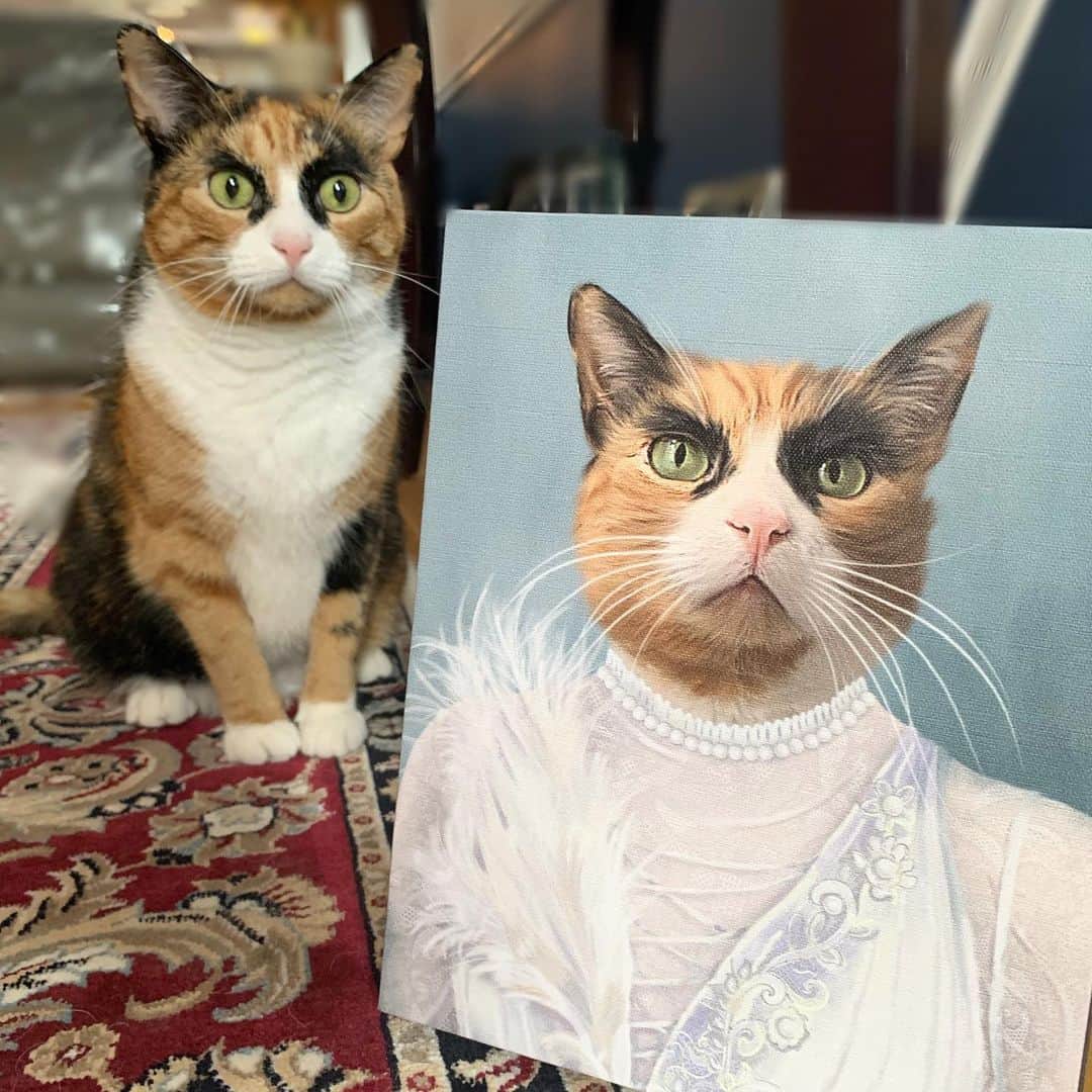 のインスタグラム：「Check out this beautiful portrait of me from @crownandpaw 😻 They made my ballerina dreams come true! Use the code LILLY10 to get 10% off your order! #crownandpaw #crownandpawportrait」