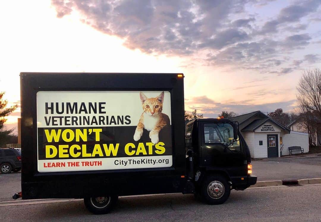 City the Kittyさんのインスタグラム写真 - (City the KittyInstagram)「We are so thankful for all your donations that made our educational billboard campaign in West Michigan a reality! ❤️ Yesterday our truck was out educating the public about how declawing is bad for cats. 🐾 . One of the stops was in front of this declawing animal hospital to try to educate cat owners about why amputating their cat's toe bones and claws is really bad for them.  PLEASE take 60 seconds and sign our petition to all the declawing vets in West MIchigan that’s on the link on our Instagram biobio. Your voice matters! 🙏🏻❤️🐾 .  We do a lot of research and found a very concerning thing.  We found 7 rescues/shelters in West Michigan and 5 of them are against declawing and educate the public about how it is bad for cats and they teach people about the easy, humane options.👍🏻😺🐾❤️ . Unfortunately 2 of these shelters condone declawing on their rescued cats and don't educate the public about how declawing is bad for cats or about the easy, humane options. 😿💔 Both of these shelters use Fremont Animal Hospital as their animal hospital and one of these shelters refers people to them if they ask for a good vet to go to for a declaw.  One of these shelters even performs declawing on many of their cats before they are put up for adoption.😿😿😿🐾💔 Here's Fremont Animal Hospital's info about declawing. It's sad they have nothing in this "New Kitten, Now What" section about how burning off the toe bones and claws on cats is bad for their long term health and well-being - http://www.fremontanimalhospital.net/new-kitten-now-what.html . Story about the rescues and shelters in West Michigan that educate the public about how declawing is bad for cats.  If you know of any others in this area, please send them to us! http://citythekitty.org/shelters-and-rescues-in-west-michigan-who-are-against-declawing/ . Please always take the high road, be polite, and educate!👍🏻 Your donations help fund our educational declawing campaigns and targeted facebook declawing ads. 🙏🏻❤️🐾 www.citythekitty.org . #WestMichigan #catsofmichigan #fremontmi #fremontmichigan  Friday our truck will be heading out to educate more people about the truth about declawing.」11月28日 5時38分 - citythekitty