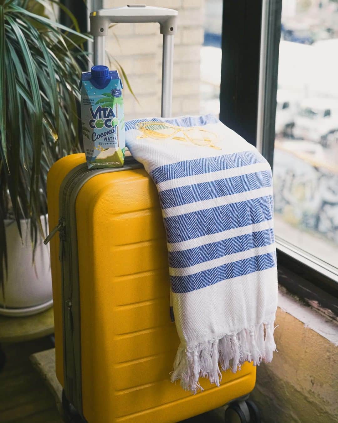 Vita Coco Coconut Waterのインスタグラム：「Going home for Thanksgiving?  Us too.  Well, not to your home..to OURS.」