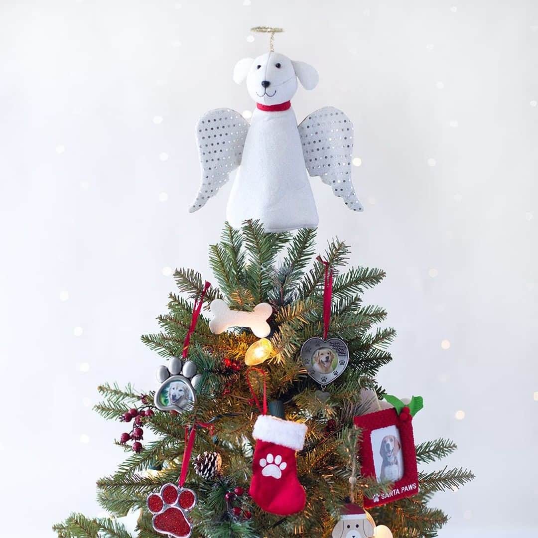 Animalsのインスタグラム：「Limited Edition: Only 1,000 Made  This beautiful holiday decoration is actually a miracle for an entire shelter. That’s because every one purchased provides 30 meals to shelter dogs.  This angel pup brightens any spot you put him, whether perched at the top of your tree, sitting on your mantle, or greeting visitors cheerfully at your entryway. It’s a versatile piece with a beautiful impact, both within your home and in the lives of shelter dogs in need. Buy multiples to make an even greater impact. These make for thoughtful gifts for any dog lover! Hurry, limited supply.  Buy link in @iheartdogscom bio」