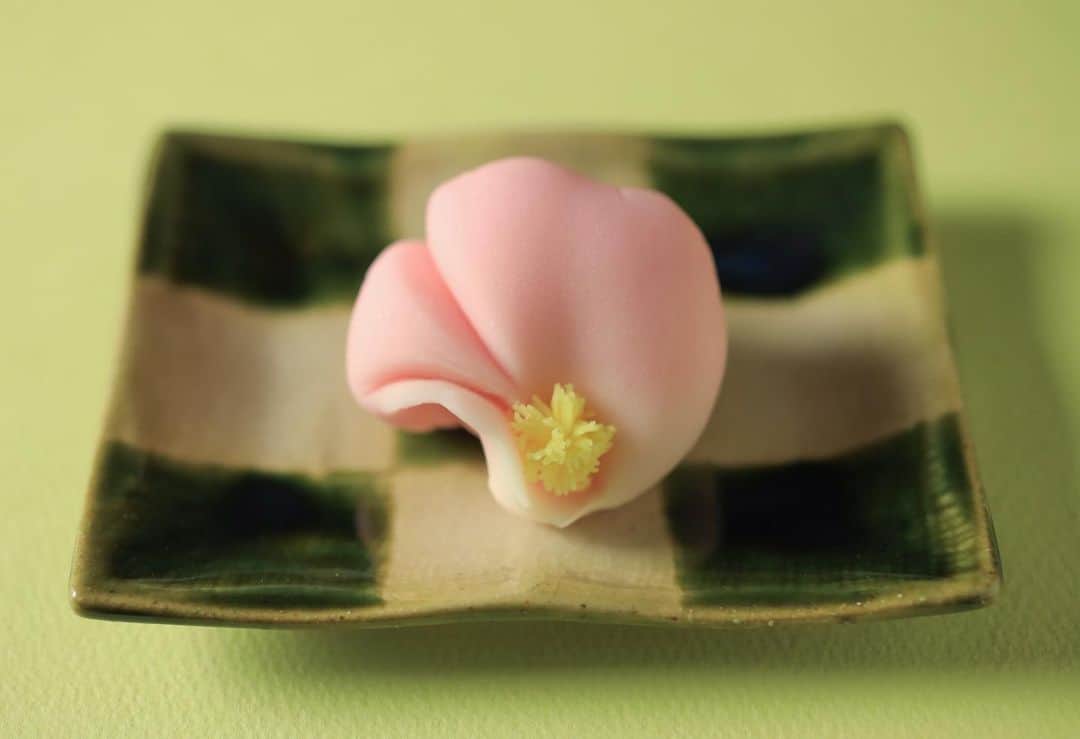 Toru Tsuchieのグルメインスタ