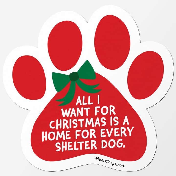 Animalsのインスタグラム：「Would you put this on your car this holiday season? Our new Christmas Wish magnets have arrived. At $2.99 they're a bargain and better yet each purchase provides 3 healthy meals for shelter pups this holiday! Buy link in @iheartdogscom profile.」