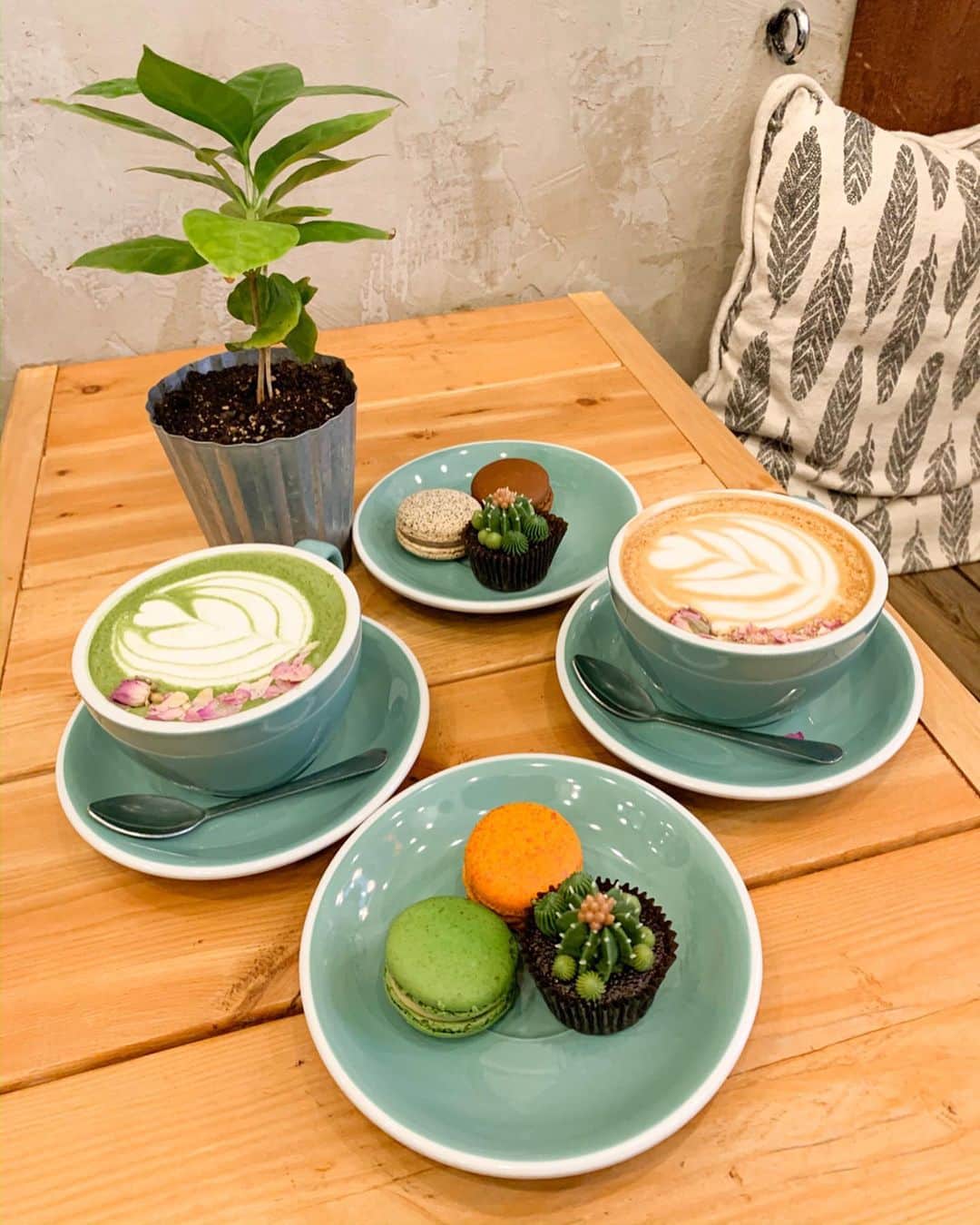 のインスタグラム：「📍Urban Backyard ☕️🌿 ・ ドストライクなカフェに出逢いました🥺❤️ ・ 居心地が良くて、内装が素敵🌿 サボテンカップケーキも可愛い🥰🌵 小さいお店で席数が少ないけれど 優しい方が譲ってくれた🥺💓 あとは、お手洗いさえあれば、最高😫🤣✨ ・ 数日後に一人でも再訪しましたが 🚻がなくて諦めました🤦‍♀️ ・ #ny #nyc #soho #cafenyc #coffeelover #coffeeshop #cafe #makiカフェinニューヨーク #ニューヨーク #ニューヨーク生活 #ニューヨークカフェ #コーヒー好き #カフェ好き #カフェスタグラム #あやちゃんとお散歩 #アメリカ暮らし」