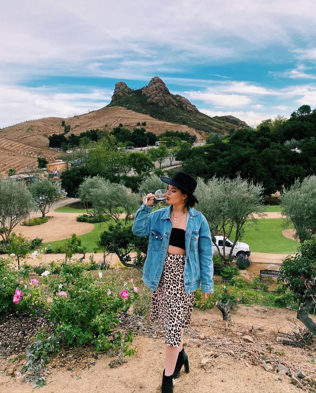 Brooke Marie Hylandのインスタグラム：「Nothing to wine about 🍷🦒」