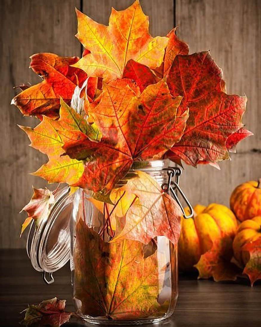 Reiko Lewisさんのインスタグラム写真 - (Reiko LewisInstagram)「Wishing you a Happy Thanksgiving! (Decoration ideas from Pinterest.com) #thanksgiving #homedecoration」11月28日 8時17分 - ventus_design_hawaii